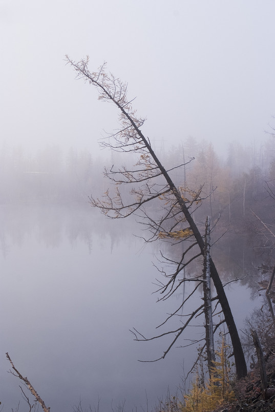 Туман - Андрей Кийко