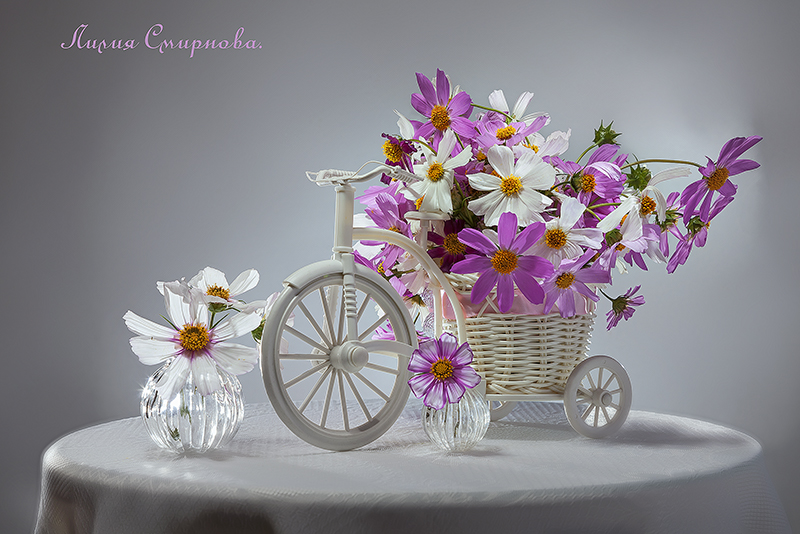 Цветочный велосипед. - Лилия *