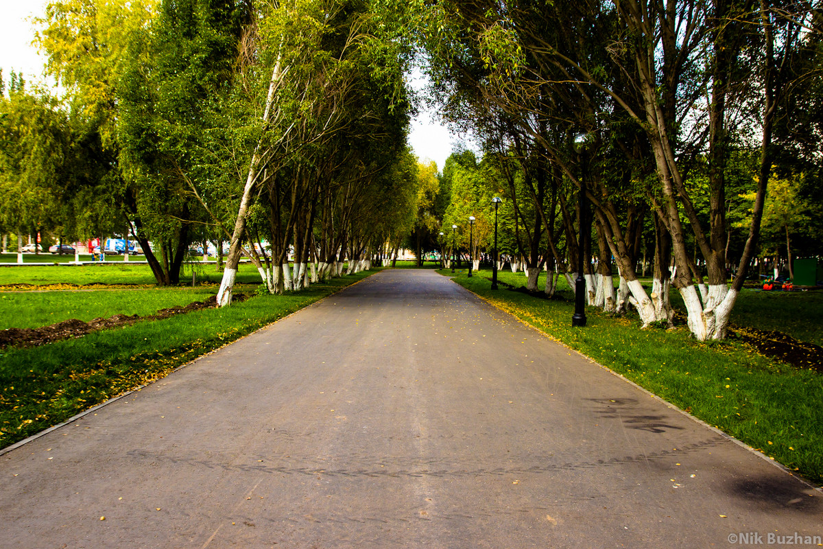 Фотопрогулка в парке им. Юрия Гагарина - 3 - Никита Бужан