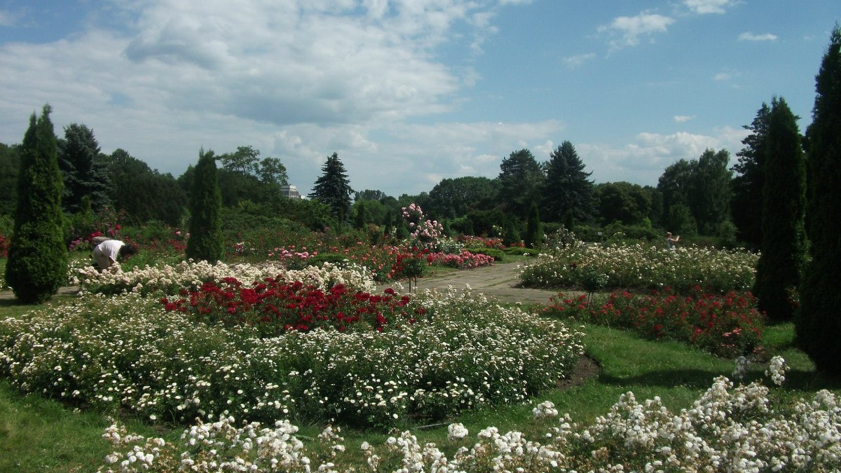Ботанический сад - Виктория Козлова