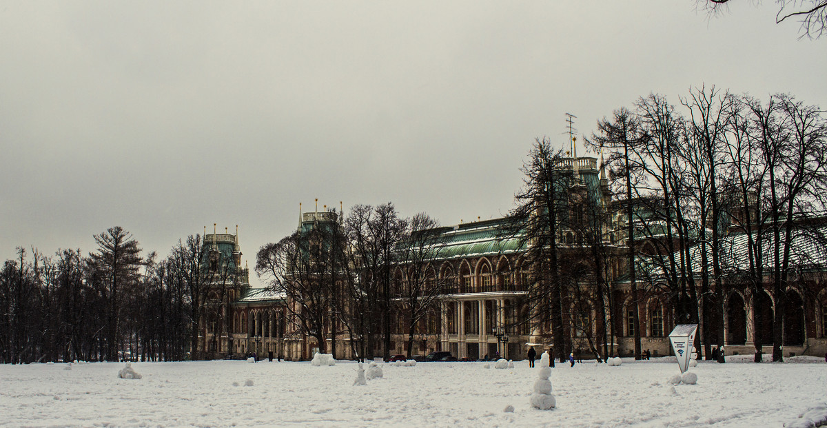 Зимняя лужайка перед дворцом - Андрей Баськов
