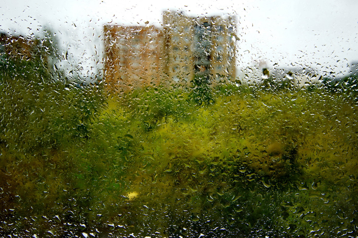 ...За окном сентябрь провода качает, За окном с утра серый дождь стеной... - Александр Шурпаков