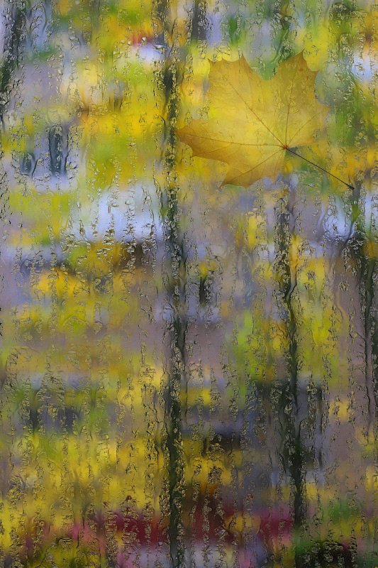 Осень за окном - Serge Riazanov