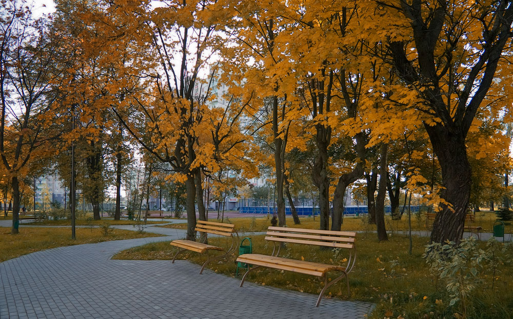 Осень в парке - Serge Riazanov