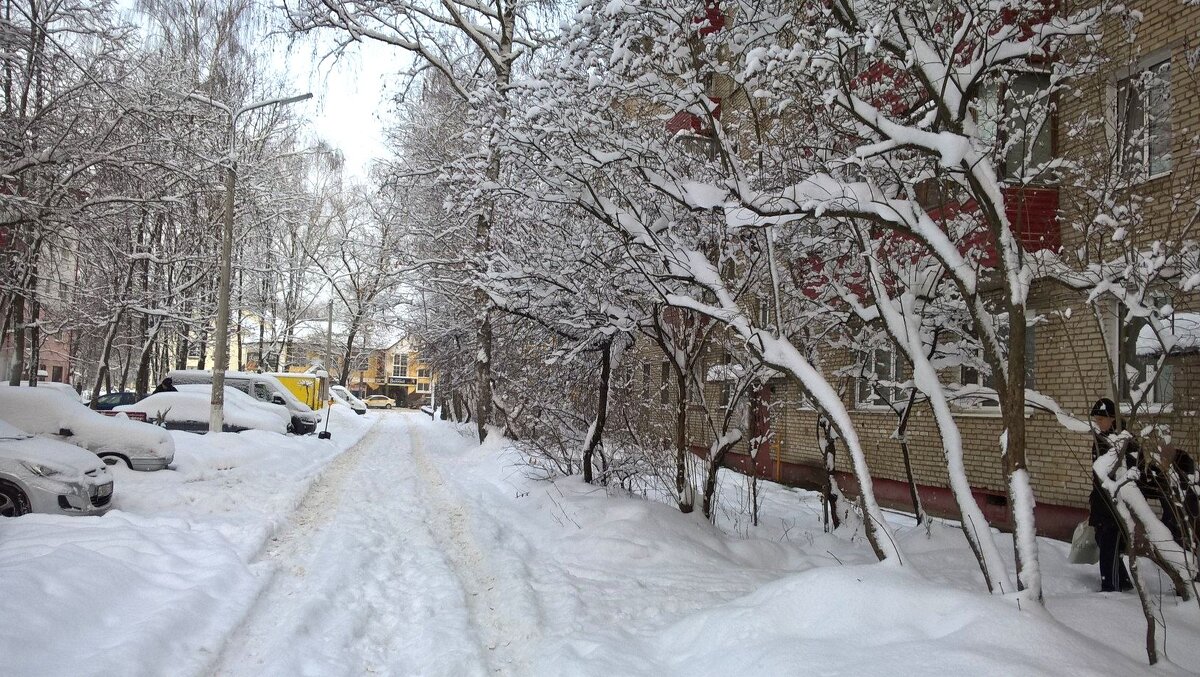 Зимой снежной - Елена Семигина