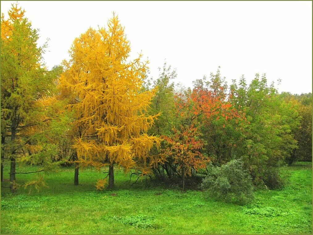 Осень - Татьяна Беляева