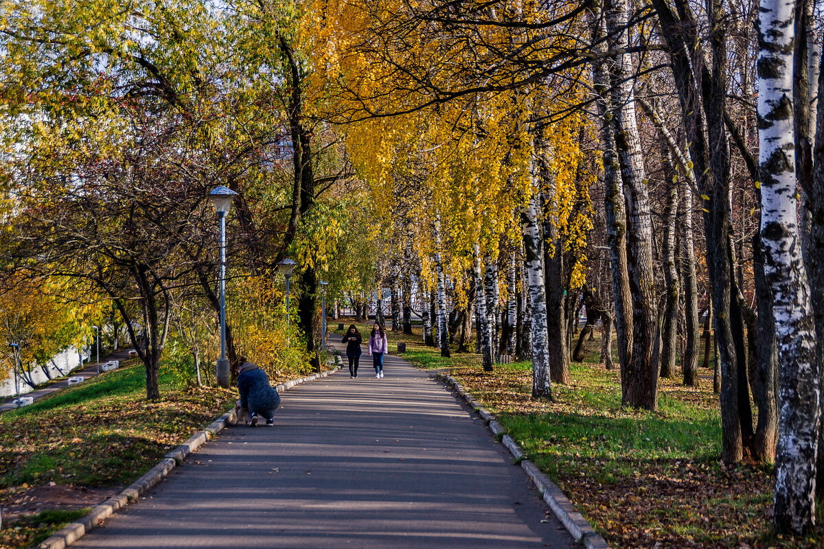 В осеннем парке - gribushko грибушко Николай