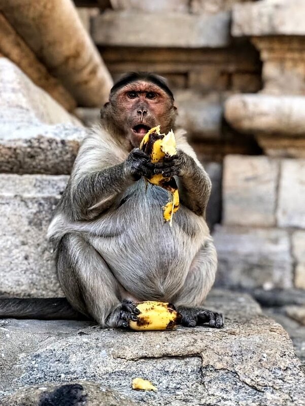 Каждый ест свой банан сам...:) - Анатолий Колосов