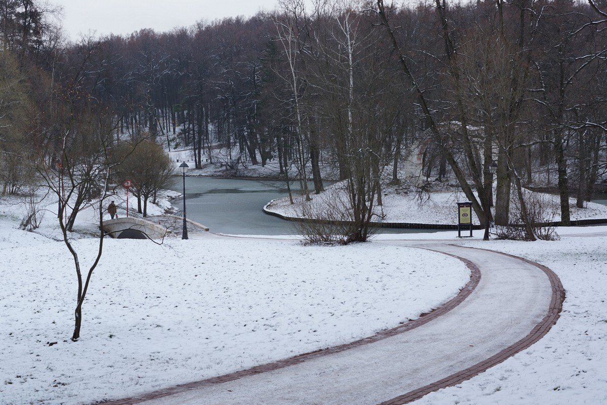 Царицынский парк зимой - Игорь Белоногов