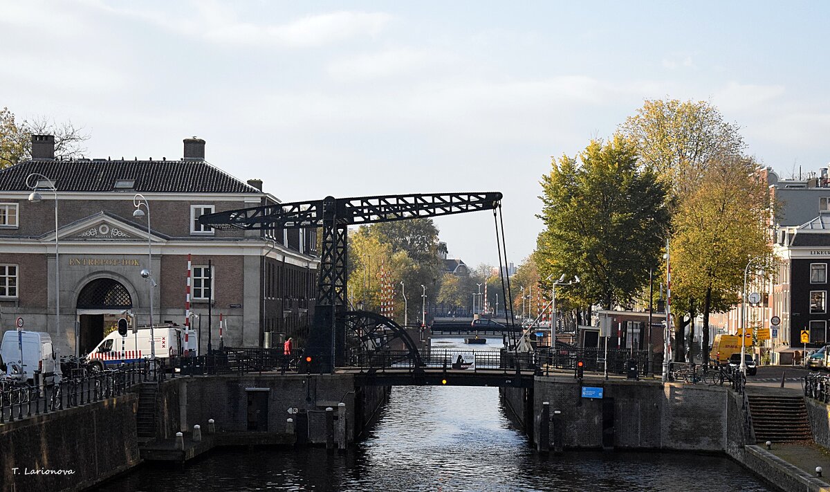 Разводной мост. Амстердам - Татьяна Ларионова