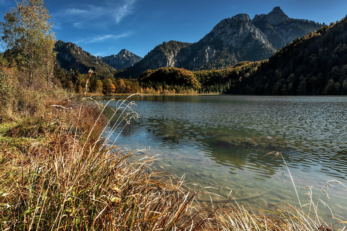 На берегу Schwanensee (Германия, Бавария) - Bo Nik