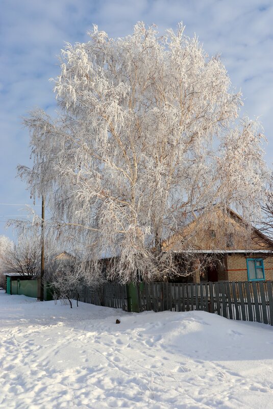 = - Татьяна Котельникова