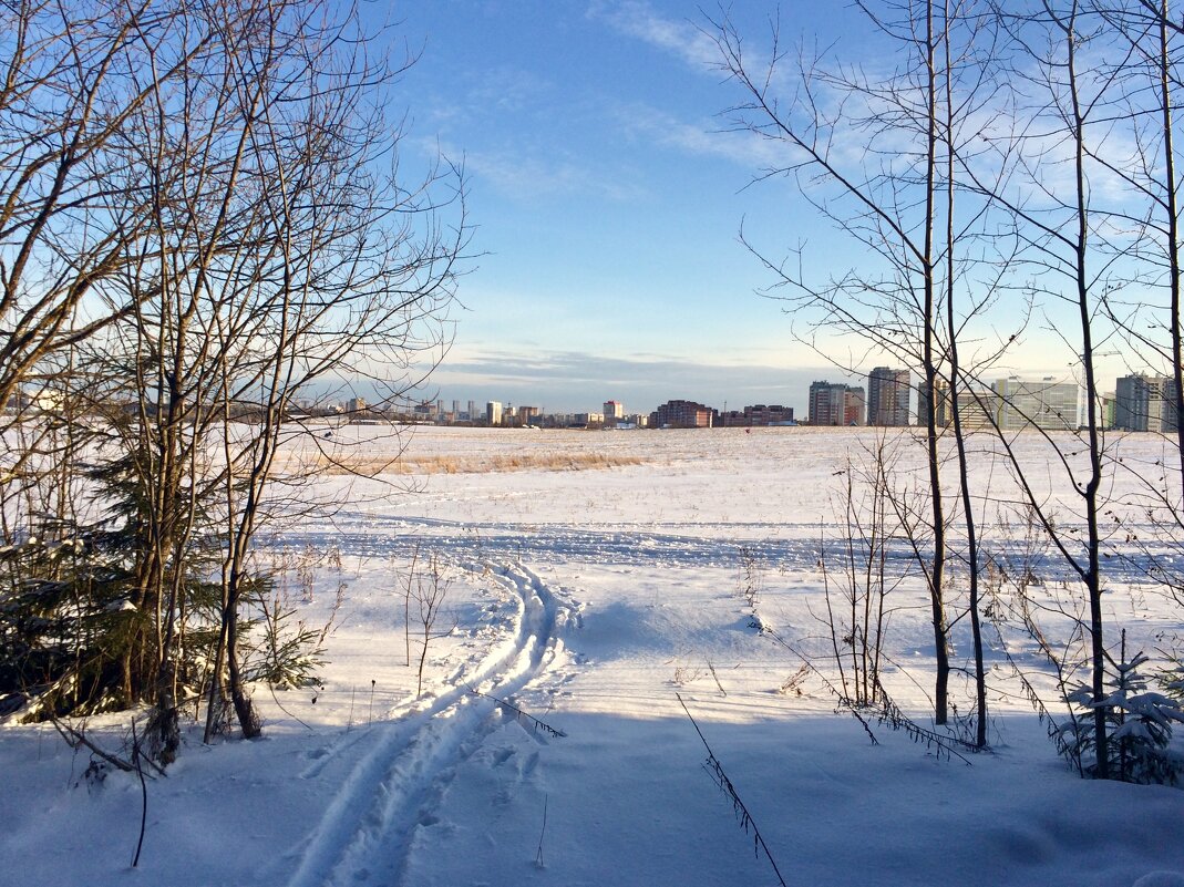 Лес рядом с городом - Татьяна 