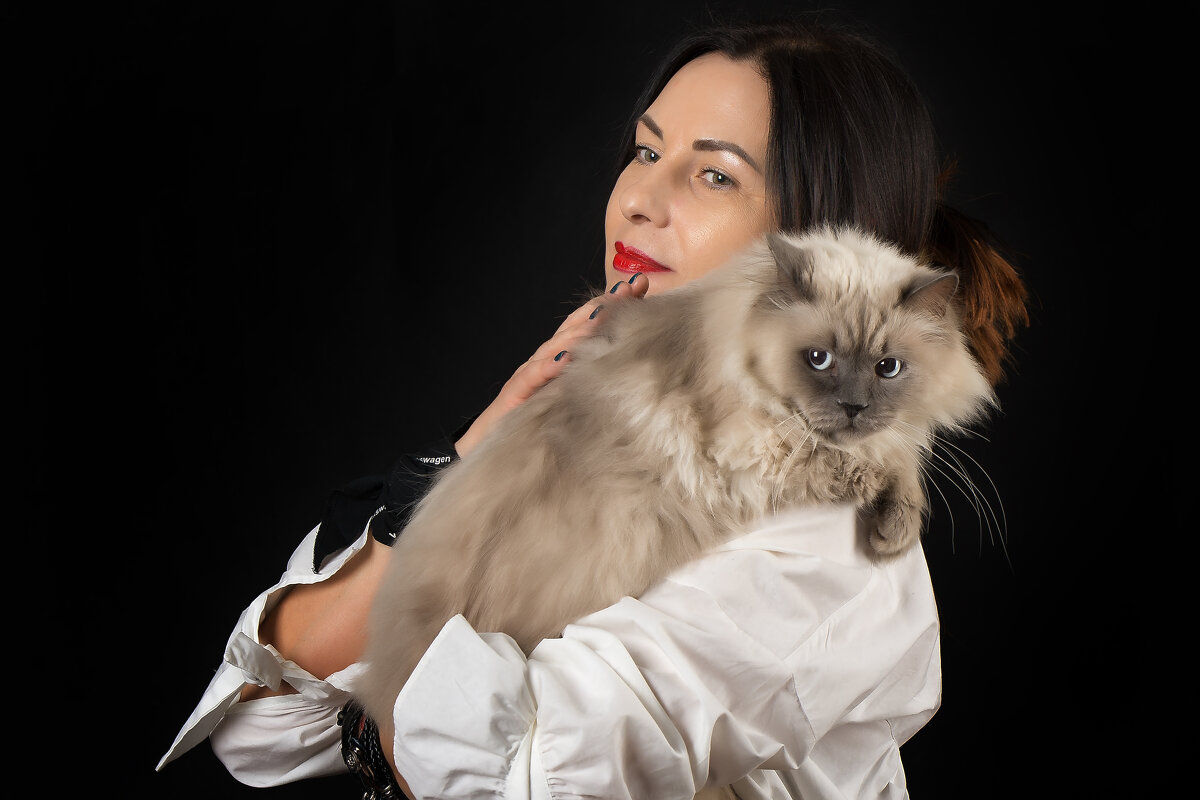 дама с котом - Юрий Никульников
