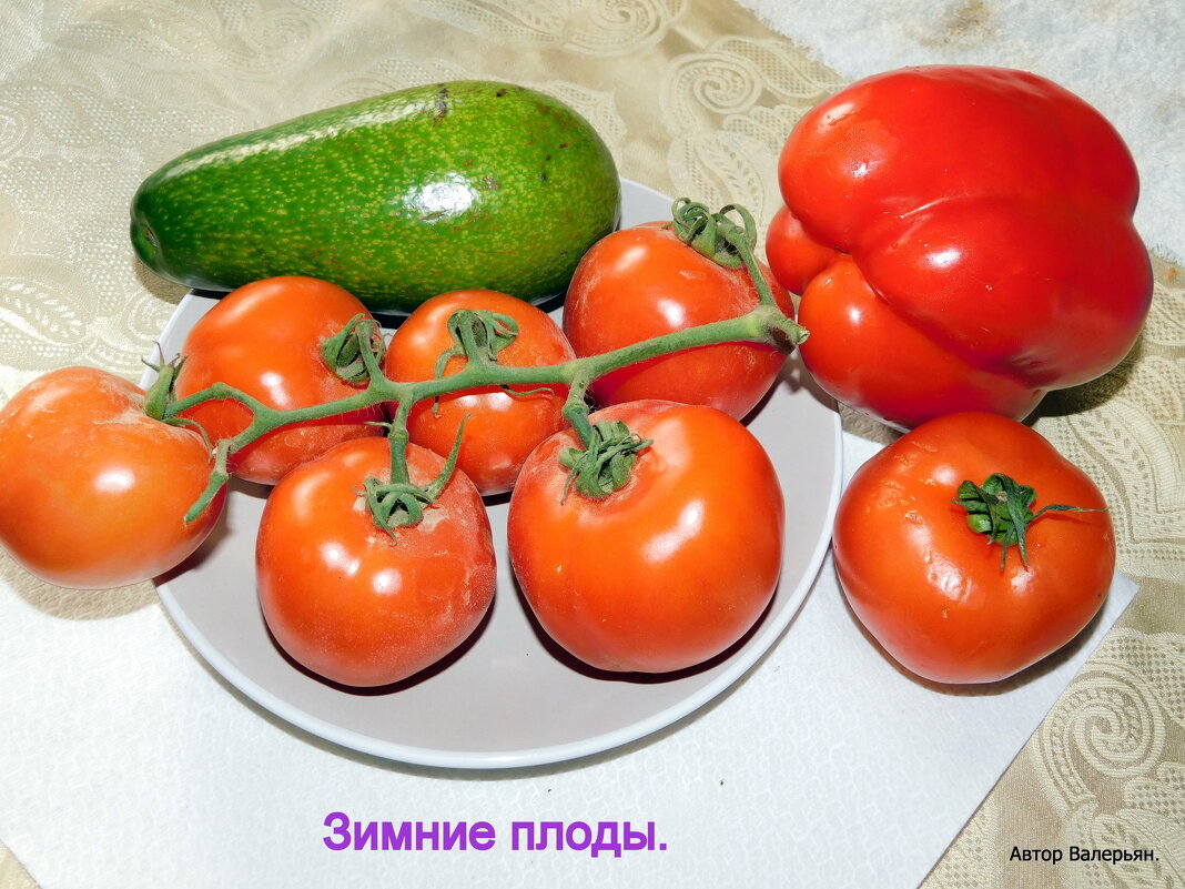 Зимние плоды. - Валерьян Запорожченко