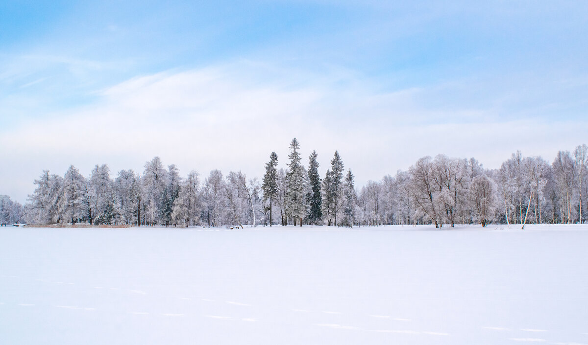 Снежный пейзаж Дворцового парка в Гатчине - Дарья Меркулова