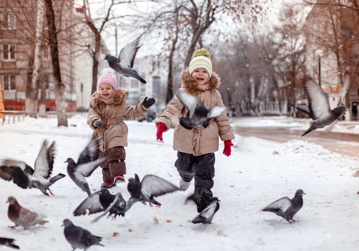 Дети, голуби, веселье - Ольга Токмакова