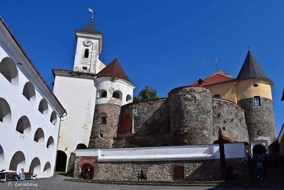 Замок Паланок - Татьяна Ларионова