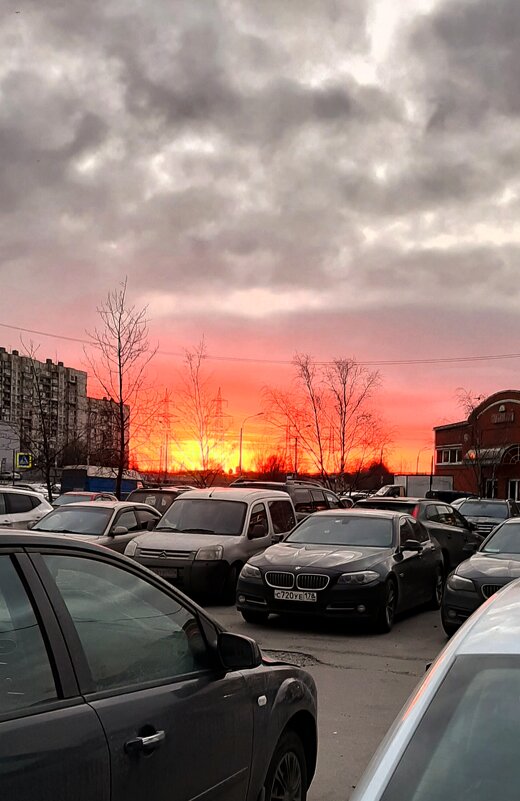 Горит восток зарею новой... - Наталья Герасимова