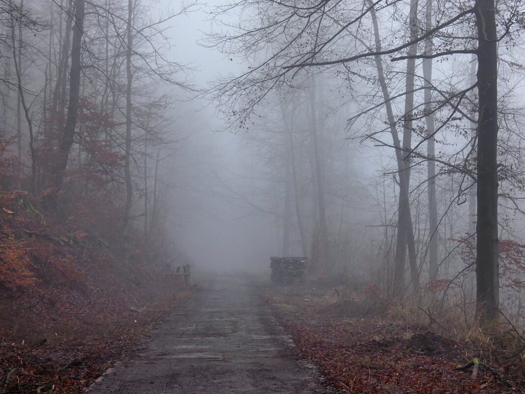 Прогулка в тумане - Heinz Thorns