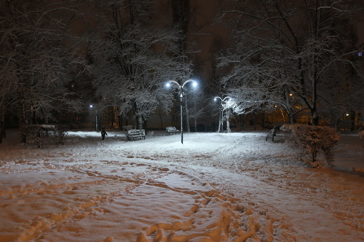 В зимнем парке - Gen Vel