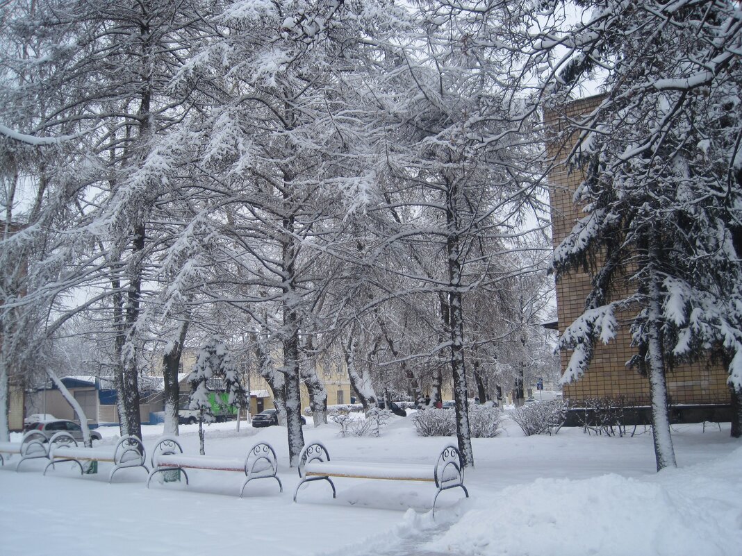 Снежным зимним днем - Елена Семигина