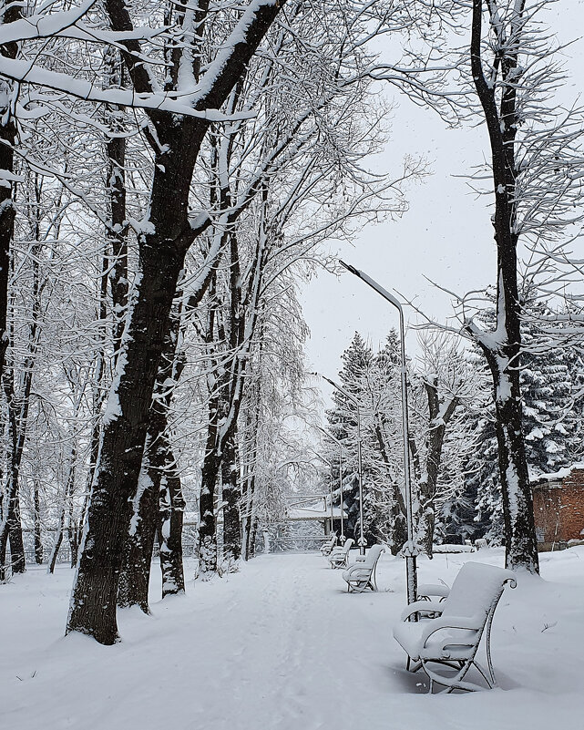 зима в районе... - Батик Табуев