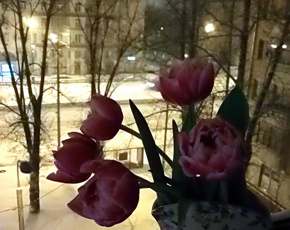 Выпал наконец снег в Москве, да и растаял уже - Елена 