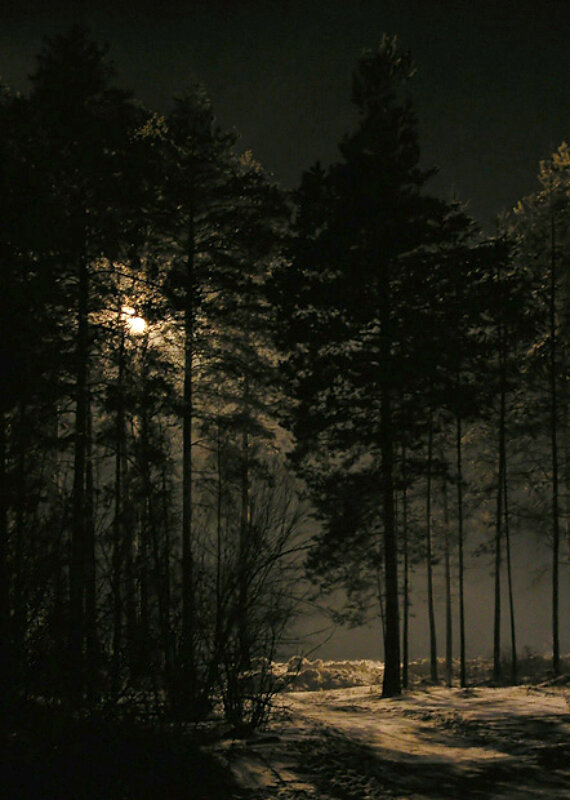 Зимняя ночь - Николай 