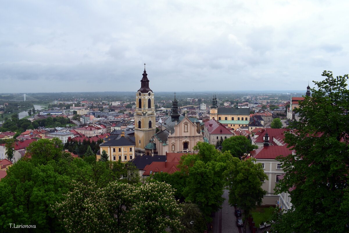 Вид на город Пшемысль из окна замка Казимира - Татьяна Ларионова