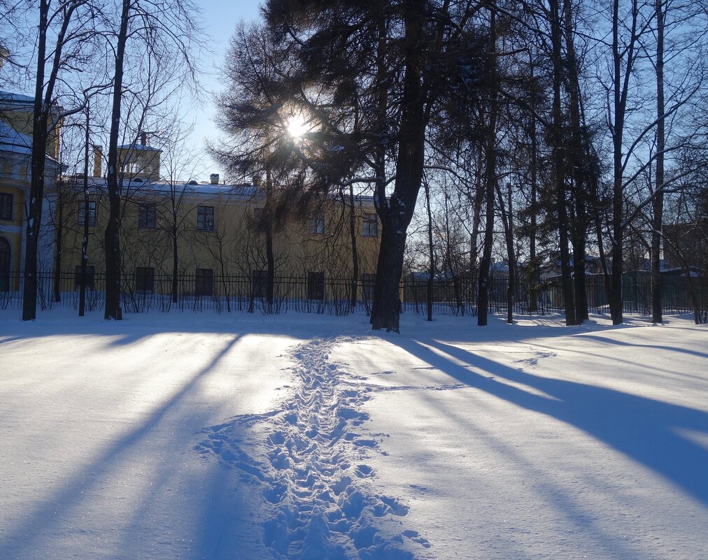 зима в Павловске - Елена 