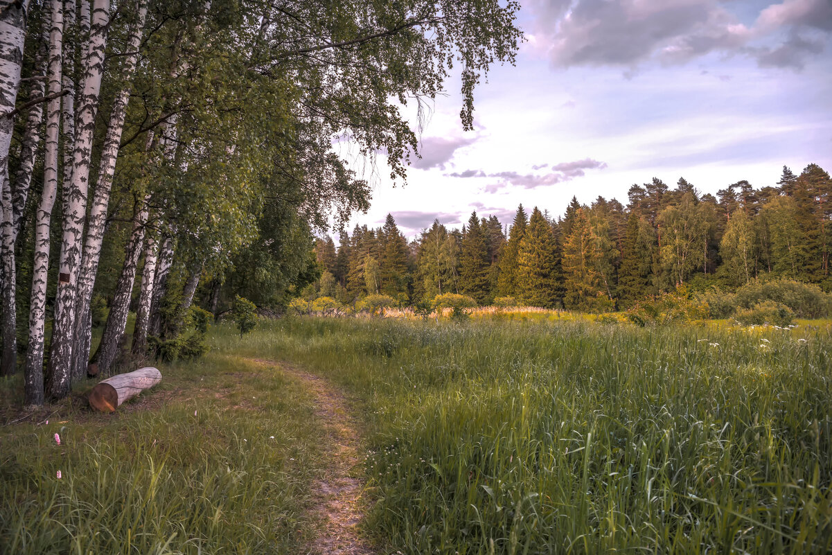 Лесная скамья... - Александр Попович