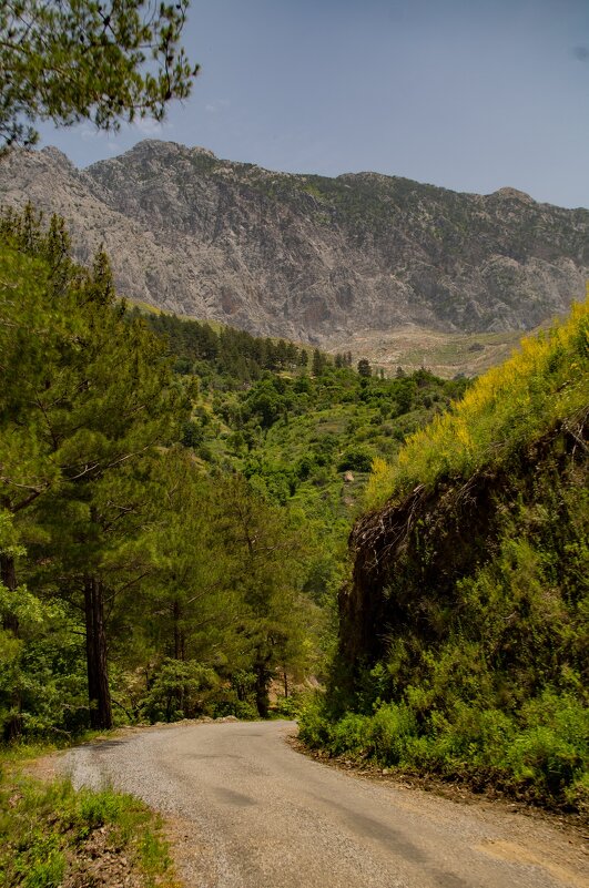 Поездки в горы, Турция, джип сафари - Мария Кудрявцева