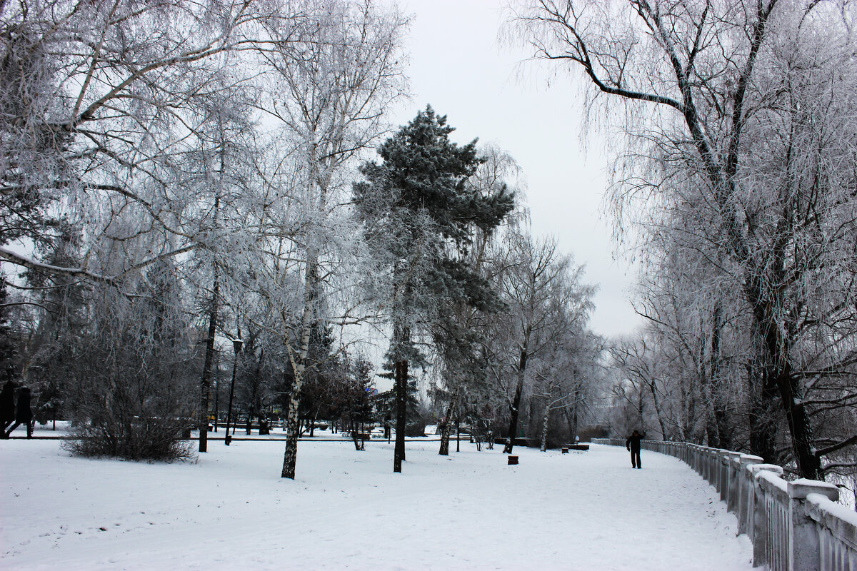 Зима в моём городе( г.Омск) - раиса Орловская