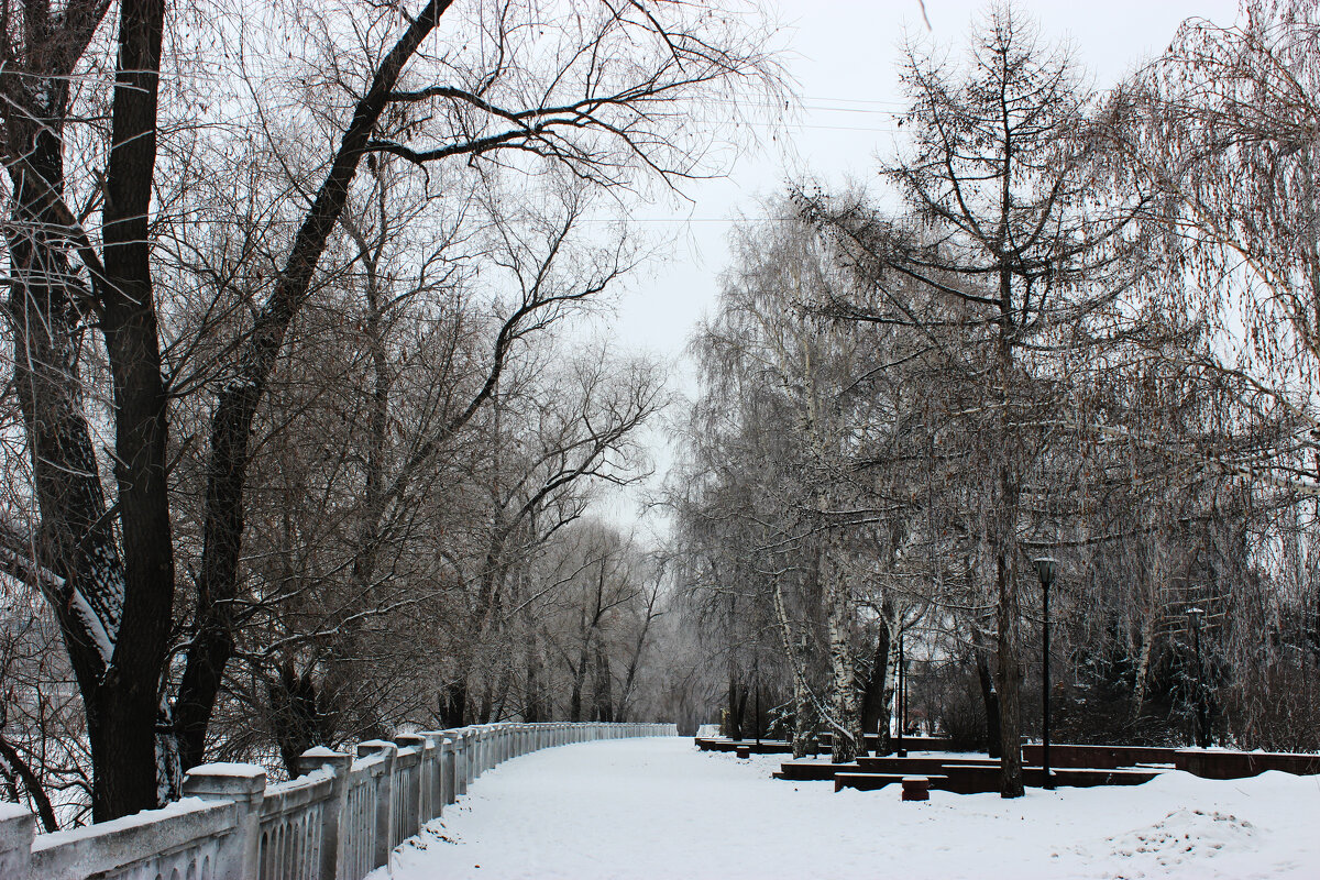 Зима в моеё городе(Г. Омск) - раиса Орловская
