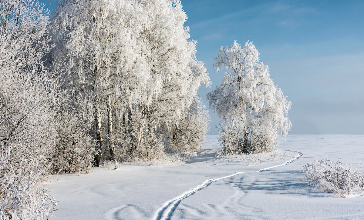 В зимнем наряде - Любовь Потеряхина