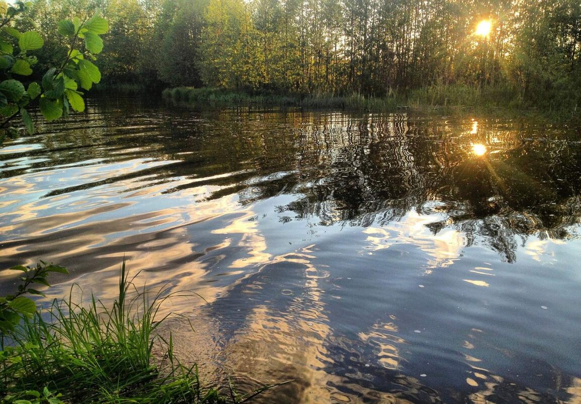 Клевое место. - Анастасия Самигуллина