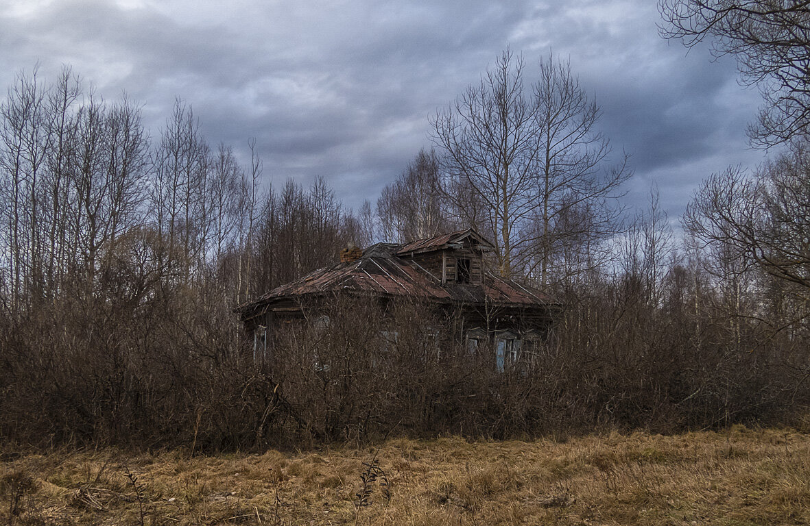 Заросший дом - Сергей Цветков