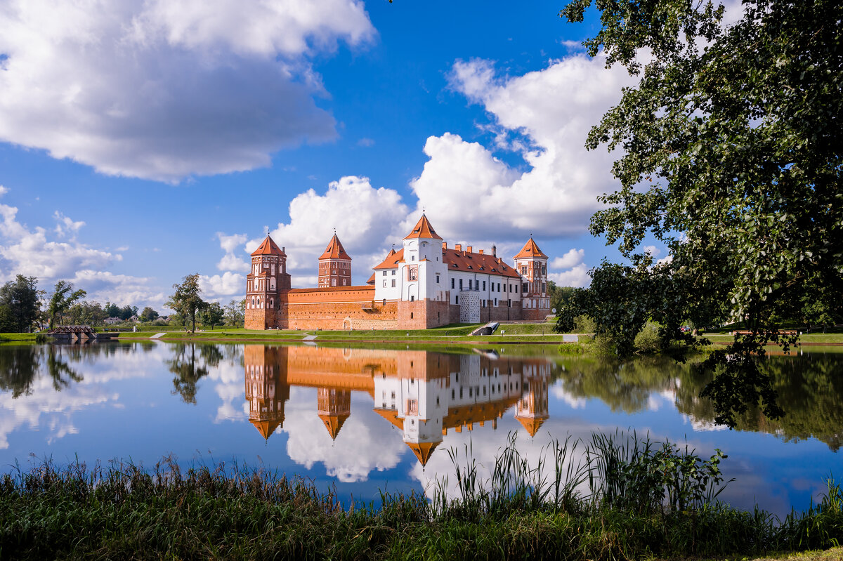 Мирский замок - Вероника Куницына