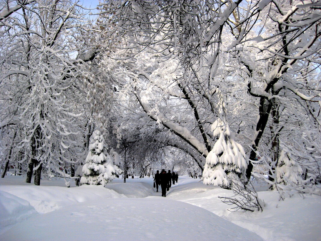 Прогулка в снежную сказку!... - Лидия Бараблина