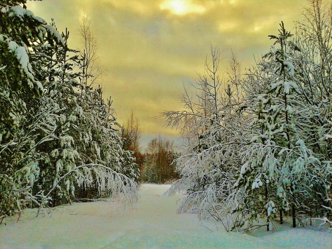снежный пейзаж - Владимир 