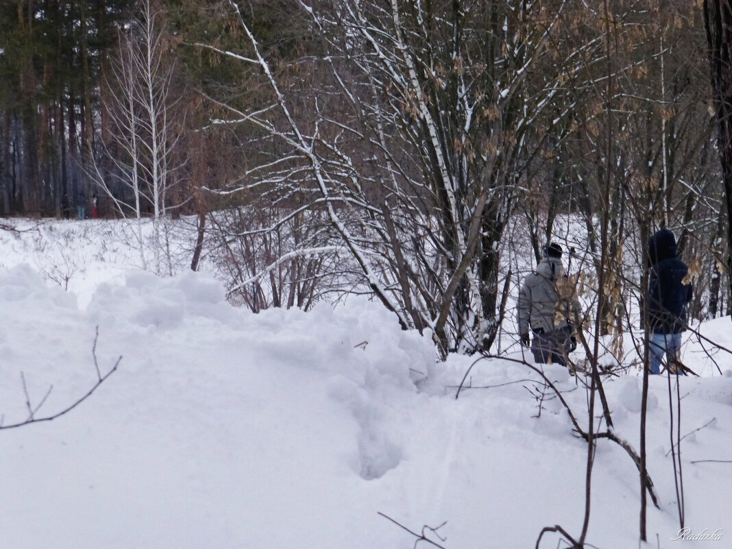 Январская прогулка - Raduzka (Надежда Веркина)