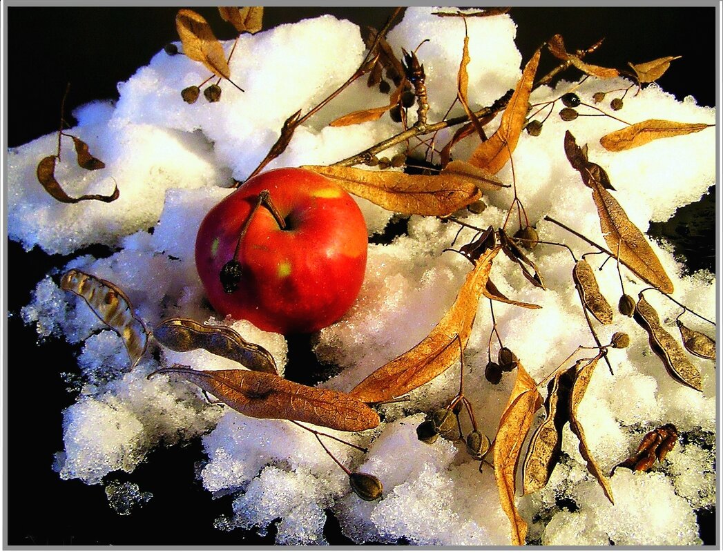 Яблоко на снегу - Геннадий Худолеев Худолеев