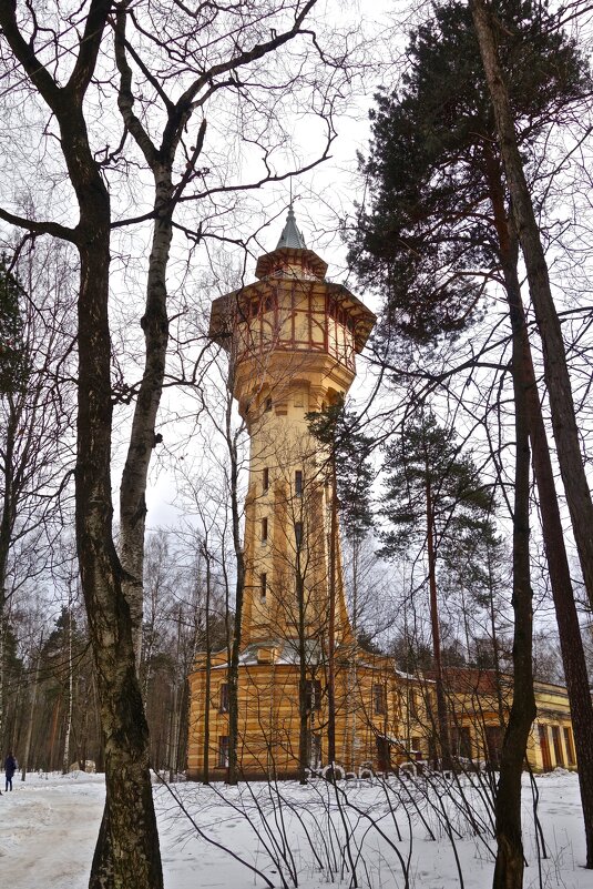 водонапорная башня  во дворе Политехнического института - Елена 
