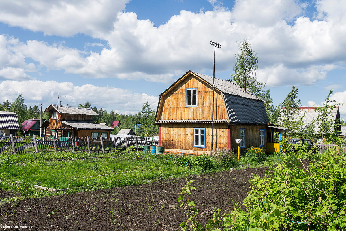 Суровая дача в районах Крайнего Севера, но в редкие теплые деньки даже уютно) - Николай Зиновьев