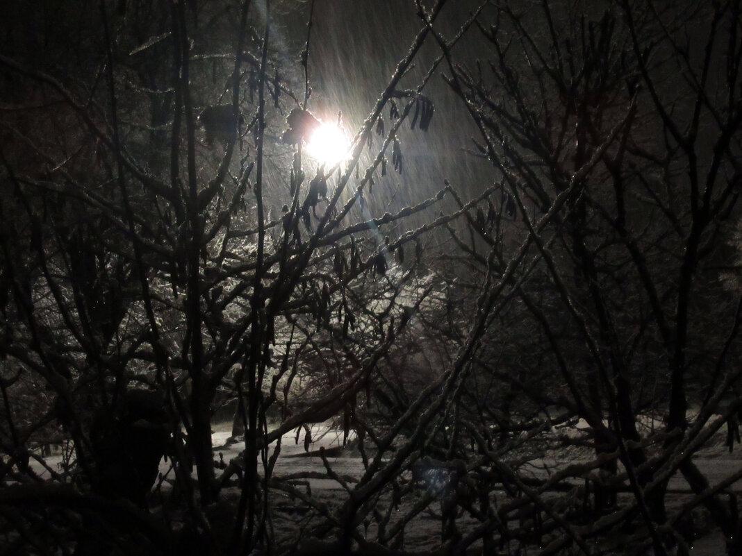 А на улице снег, непогода... - Вячеслав Медведев