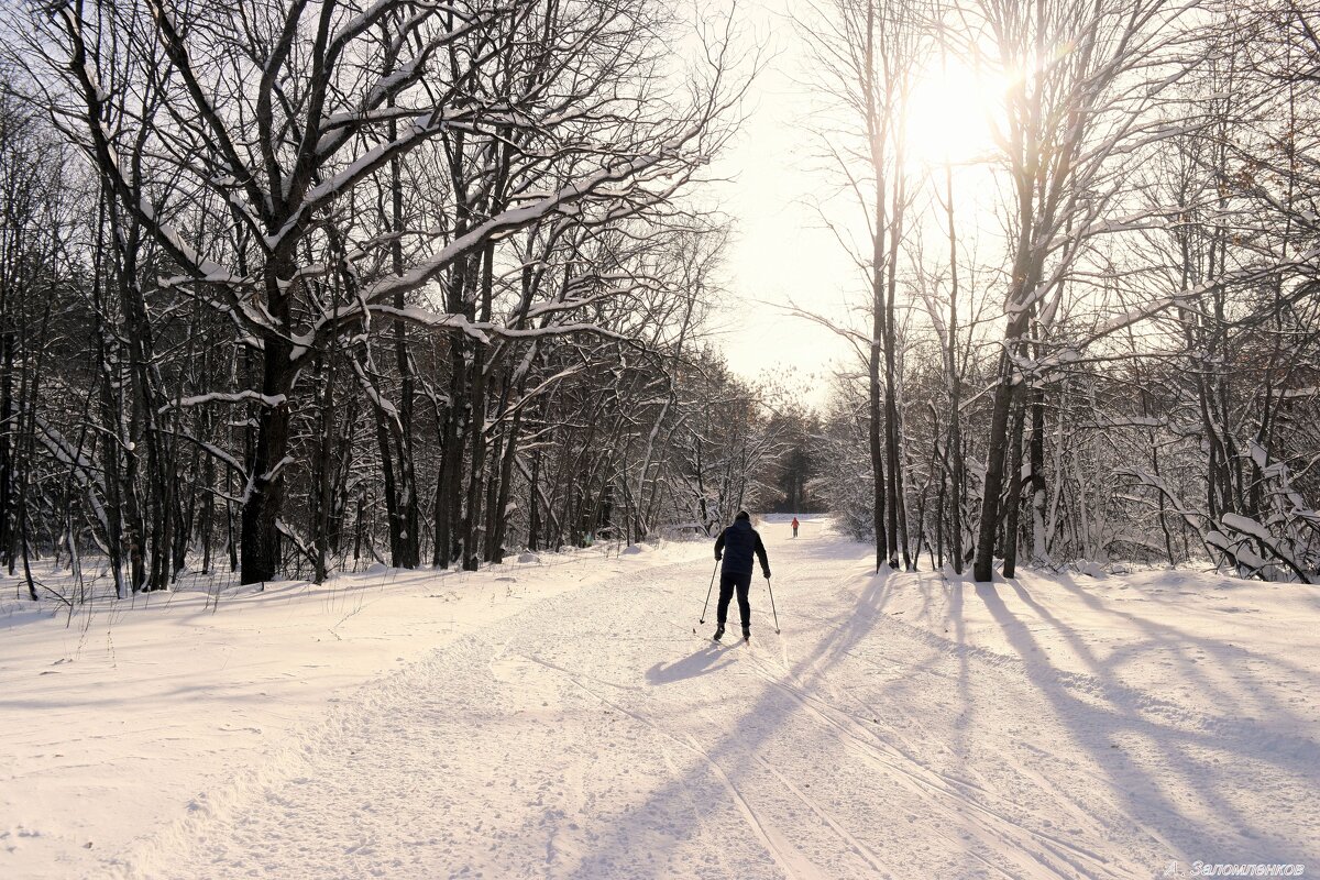 В чудесный день на лыжах нам ходить не лень.. - Андрей Заломленков
