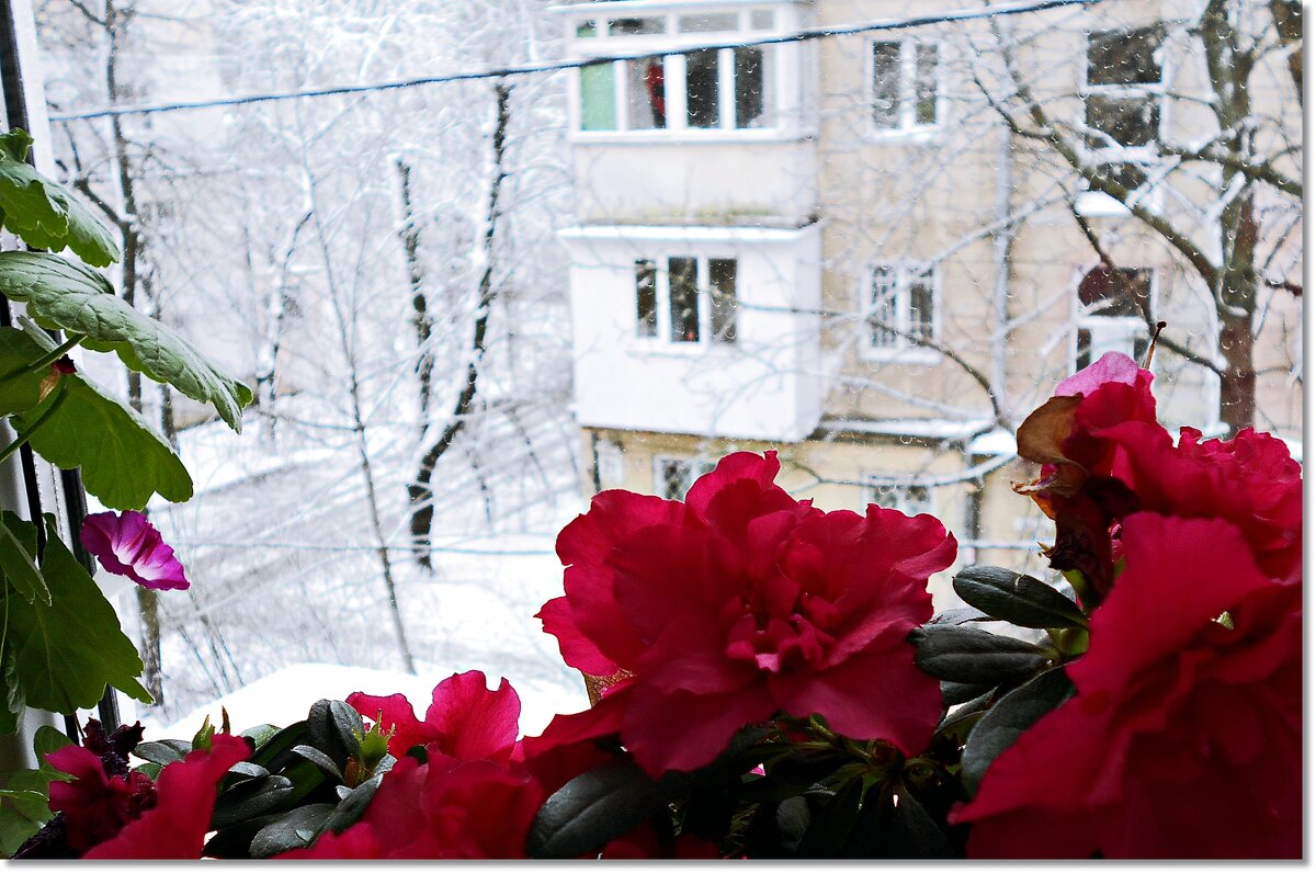 Какой же февраль без снега - Людмила 