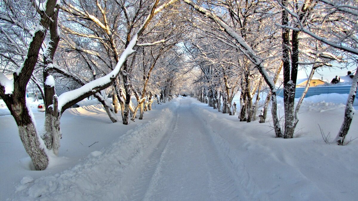 После снегопада - Владимир 
