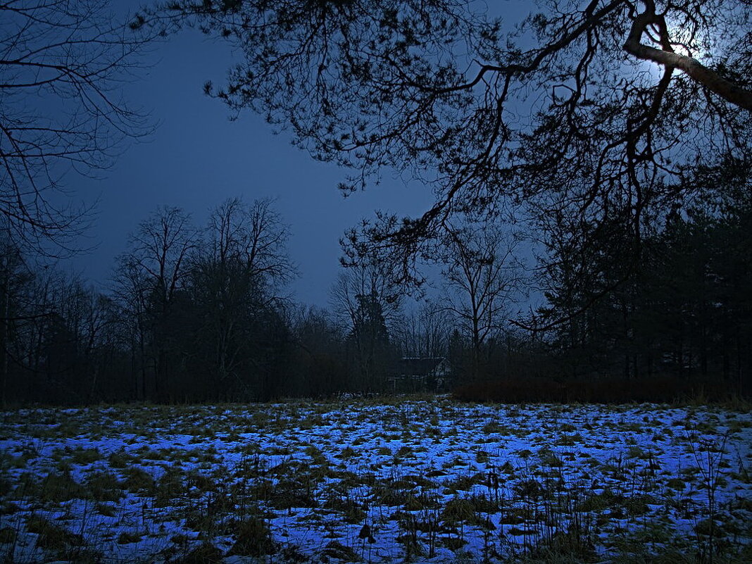 В лунном сиянье снег серебрится........ - Tatiana Markova